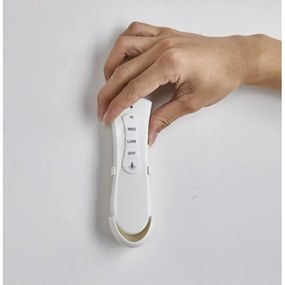 Ventilator de tavan FANAWAY 212982 EVORA 2xE27/20W/230V crom + telecomandă