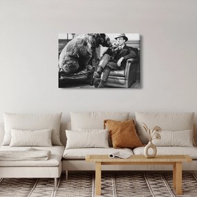 Tablou - Circ (90x60 cm)
