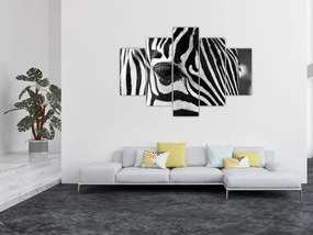 Tablou cu zebră (150x105 cm)