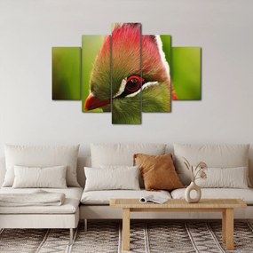 Tablou cu pasărea colorată (150x105 cm)