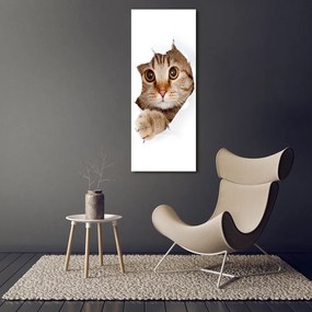 Tablou acrilic Pisică