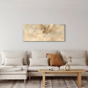 Tablou - Bufniță (120x50 cm)