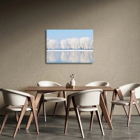 Tablou cu peisaj de iarnă (70x50 cm)