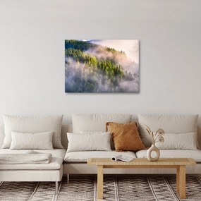 Tablou peisajului montan (70x50 cm)