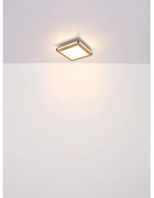 Plafonieră LED CARLA LED/12W/230V 30x30 cm Globo 41589D1