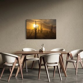 Tablou - Cactuși Saguaro (90x60 cm)