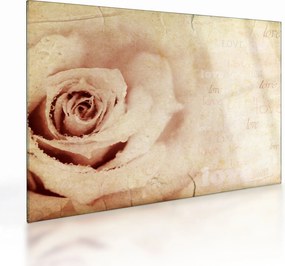 Tablou pe sticlă - floare de trandafir pentru îndrăgostiți (70x50 cm)