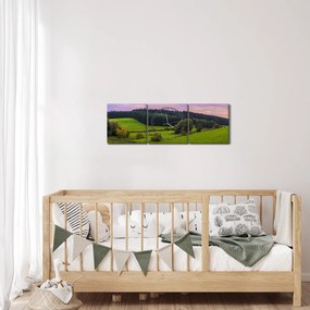 Tablou cu lunca (cu ceas) (90x30 cm)
