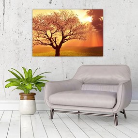 Tablou cu razele lui Dumnezeu (90x60 cm)