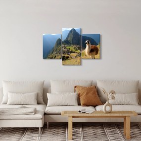 Tablou - Lama și Machu Picchu (90x60 cm)