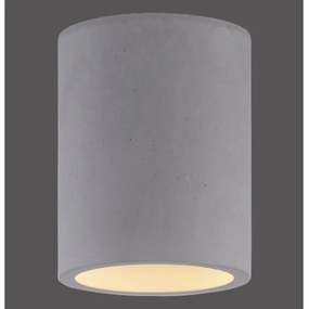 Spot ETON 1xGU10/10W/230V Paul Neuhaus 6160-22