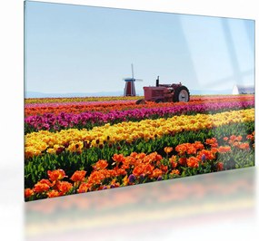 Tablou pe sticlă cu farma de lalele (70x50 cm)