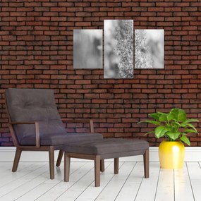 Tablou - Iarbă de pampas Boho (90x60 cm)