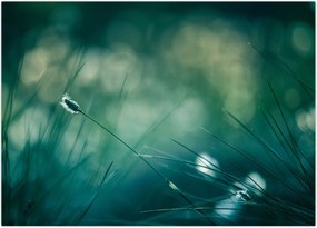 Tablou - Detaliu iarbă (70x50 cm)