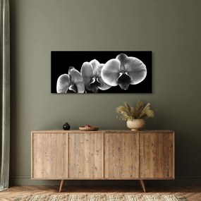 Tablou floare de orhidee (120x50 cm)
