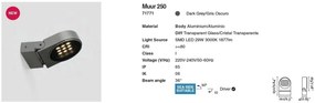 Proiector LED de exterior IP65 MUUR 250