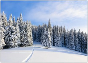 Tablou - Iarna in pădure (70x50 cm)