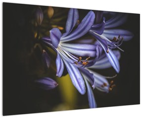 Tablou - Lila (90x60 cm)