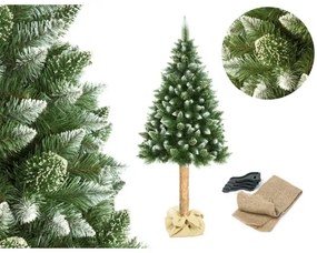 Brad de Crăciun pe trunchi 180 cm, pin