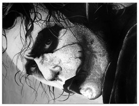 Tablou pe pânză Joker, 40 x 30 cm