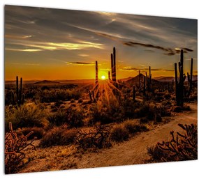 Tablou - Sfărșit de zi în deșertul Arizona (70x50 cm), în 40 de alte dimensiuni noi