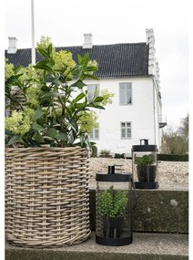 Skimmia fa műnövény, zöld 75 cm