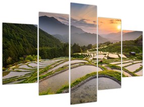 Tablou - Terase de orez (150x105 cm)