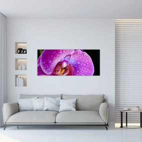 Tablou detailat cu floare de orhidee (120x50 cm), în 40 de alte dimensiuni noi