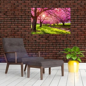 Tablou - Cireși înfloriți, Hurd Park, Dover, New Jersey (90x60 cm)