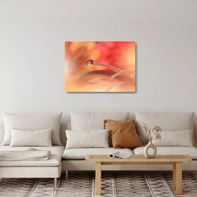 Tablou pe sticlă picăturii de rouă pe floare (70x50 cm)