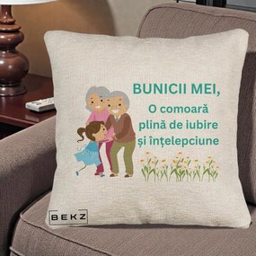 Cadou pentru Bunici - Perna Personalizata Bunicii Mei Comoara Iubire Intelepciune Nepoata, 40x40 cm, Bej Canapea, Husa Detasabila, Perna Inclusa, BEKZ®