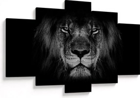 Tablou - Leu majestic (150x105 cm)