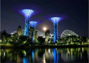 Tablou pe sticlă cu lună plină în grădinile din Singapur (70x50 cm)