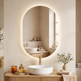 HOMCOM Oglindă de Baie cu LED 60x90 cm, Fără Ramă, 3 Culori Reglabile | Aosom Romania