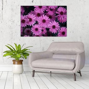 Tablou cu florile roz (90x60 cm)