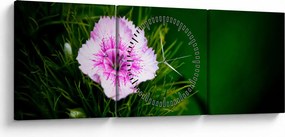 Tablou cu floare roz (cu ceas) (90x30 cm)