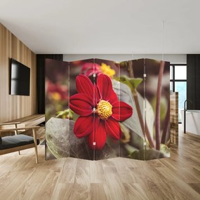 Paravan - Floare (210x170 cm)
