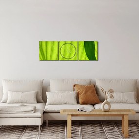 Tablou - Detaliu de frunză verde (cu ceas) (90x30 cm)