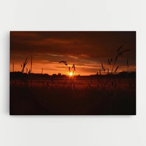 Tablou Canvas, 90x140cm, Dormitor si Living, Peisaje, Apus de soare, Field Shilouette