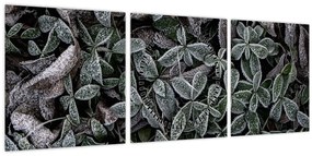 Tablou - Plante înghețate (cu ceas) (90x30 cm)