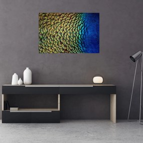 Tablou - Pene de păun (90x60 cm)