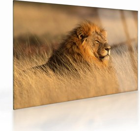 Tablou pe sticlă - Parcul Național Etosha (70x50 cm)