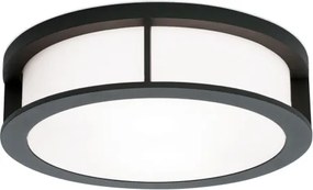 Orion - Aplică de exterior HENRY, 2xE27/15W/230V, Ø 30 cm, IP44, antracit