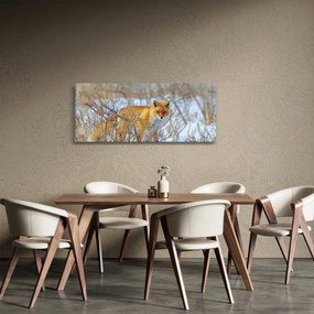 Tablou - Vulpe (120x50 cm)
