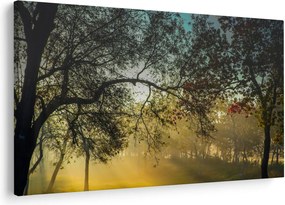 Tablou cu răsărit de soare (90x60 cm)