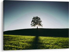 Tablou cu natura - copac (70x50 cm)