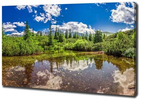 Tablou canvas Lacul în pădure