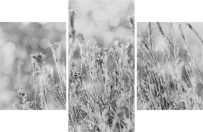 Tablou - Iarna rece (90x60 cm)
