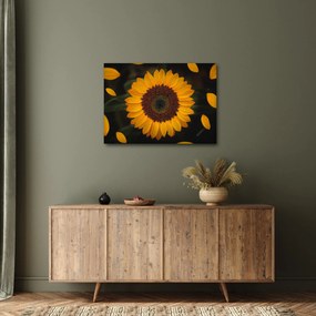 Tablou - Floarea soarelui și petale (70x50 cm)