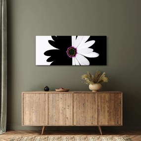 Tablou - Floare, alb- negru (120x50 cm)